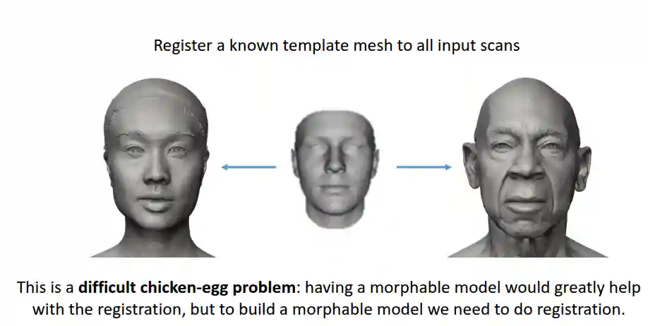 Parametric Human Body Models-20250527155226372